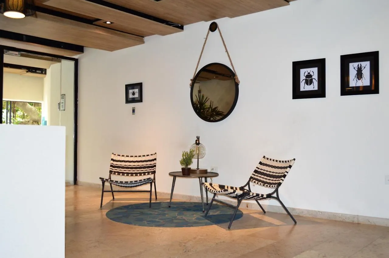 Luxurious And New 2 Bedroom Apartment With Private Jacuzzi Playa del Carmen